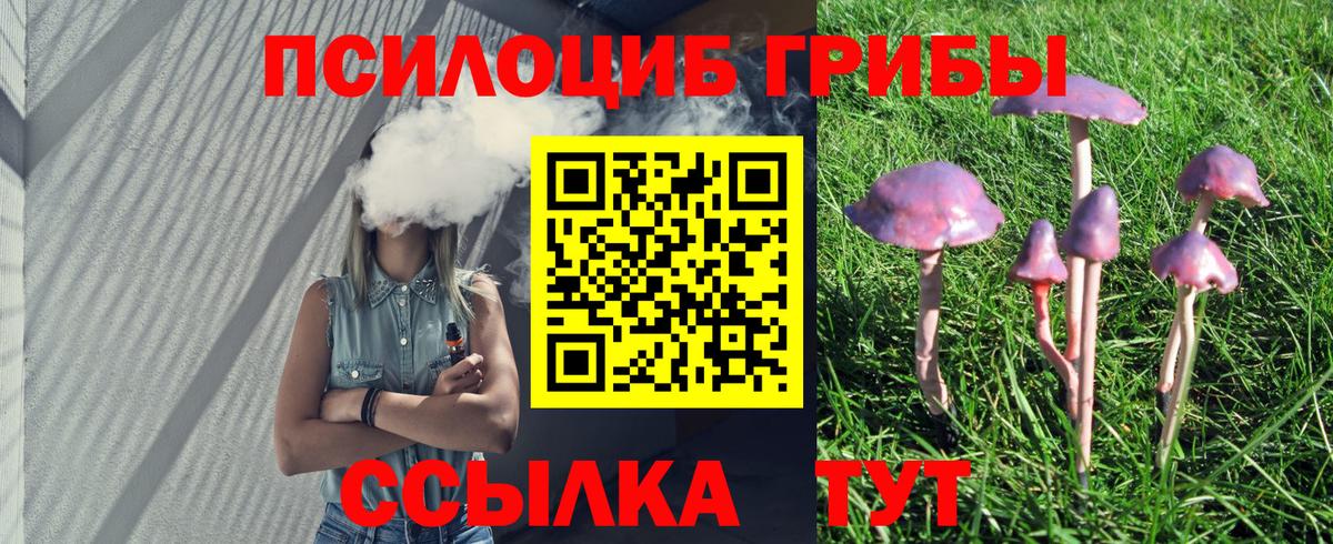 сколько стоит  Псилоцибиновые грибы Psilocybe  Вход с VPN  Великие Луки 